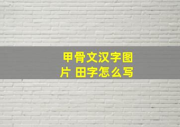 甲骨文汉字图片 田字怎么写